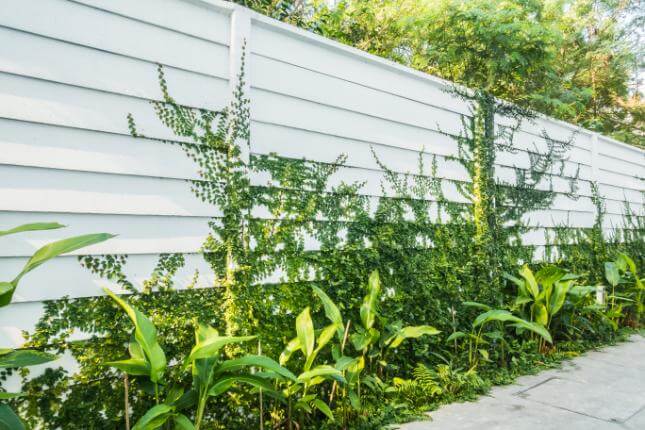uPVC Fencing
